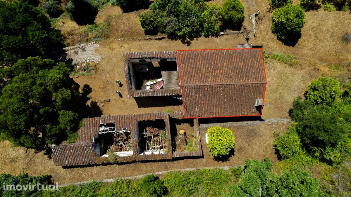 Quintinha Horta Velha Monchique - Grande imagem: 3/13