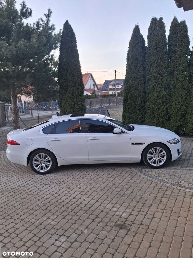 Jaguar Xf