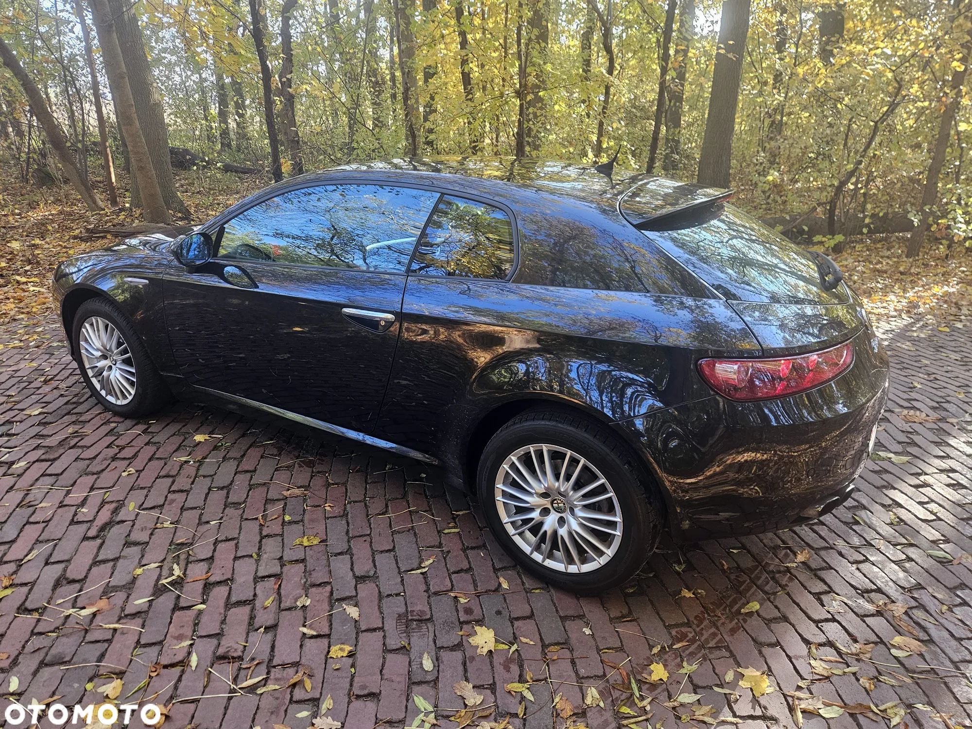 Alfa Romeo Brera 2.0JTDM - 7