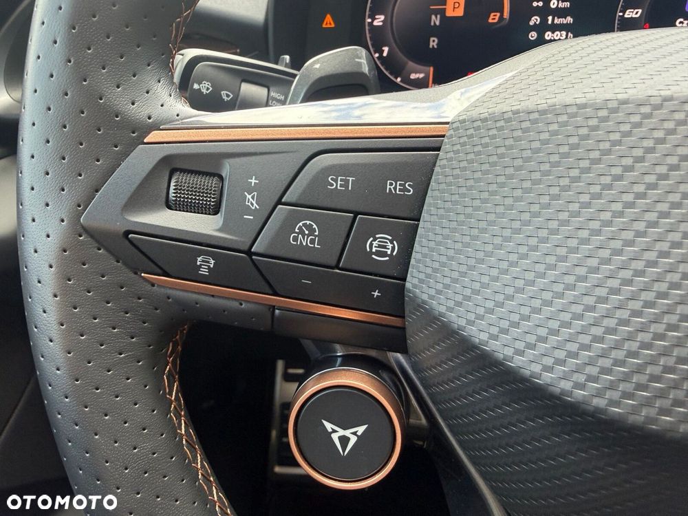 Cupra Terramar - 19