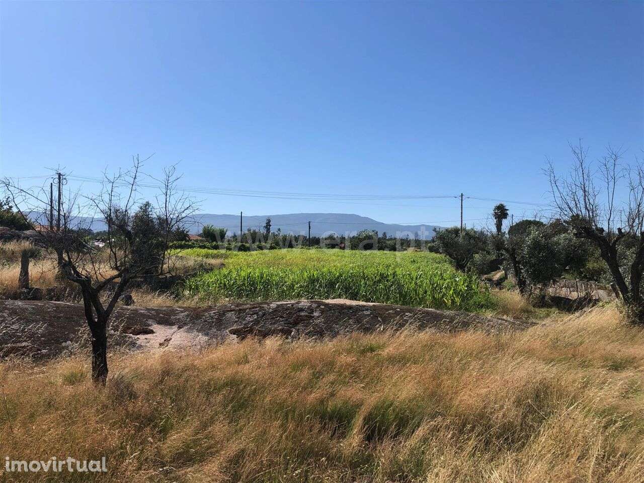 Terreno / Seia, Tourais e Lajes - Grande imagem: 2/15