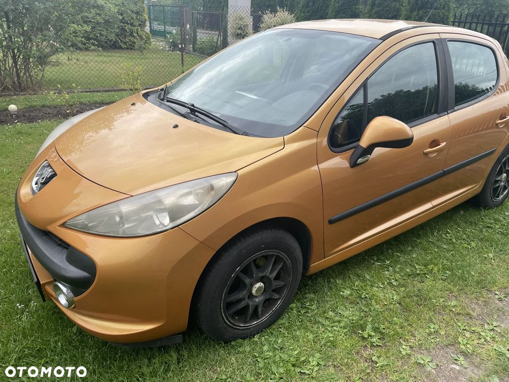 Peugeot 207 - 6