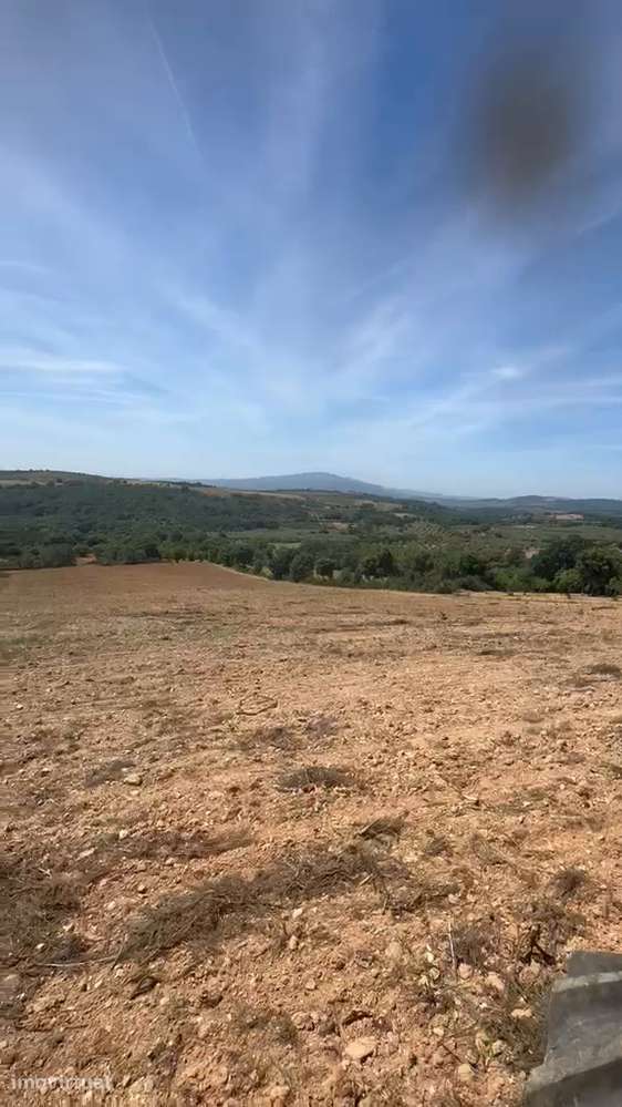 Terreno de cultivo com 600.00 m2 em M. de Cavaleiros. - Grande imagem: 3/9