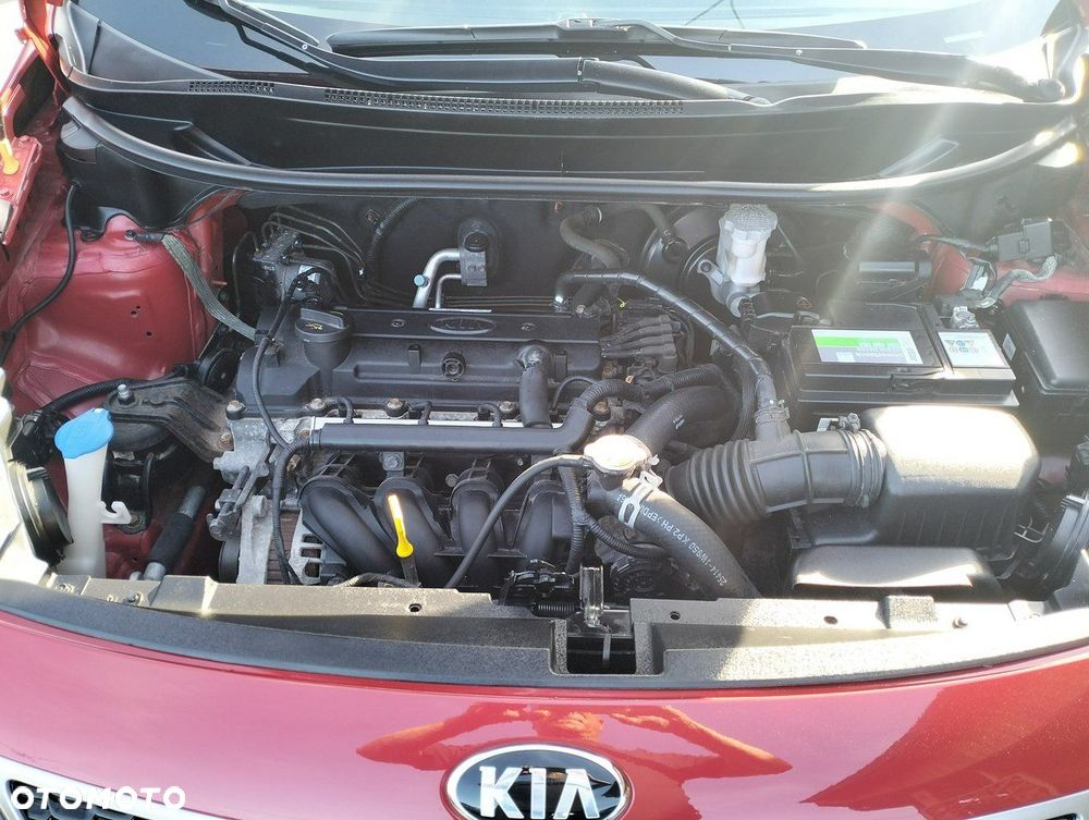 Kia Rio - 33