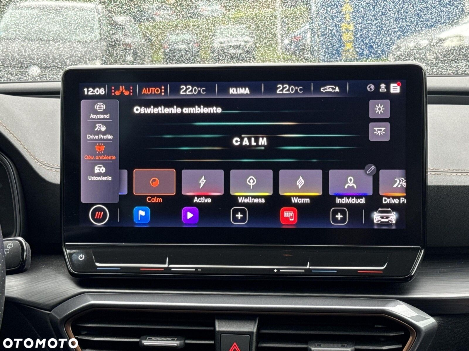 Cupra Formentor 2.0 TSI 4Drive VZ DSG - 28
