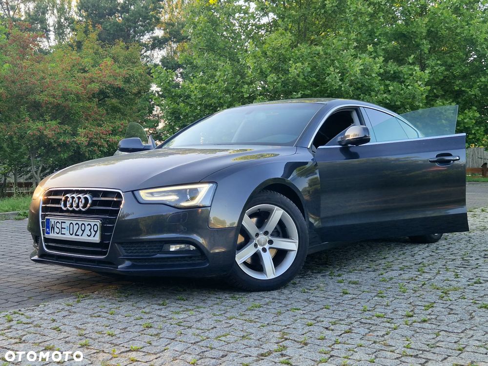Audi A5 Sportback 2.0 TDI (clean diesel) DPF multitronic - 19