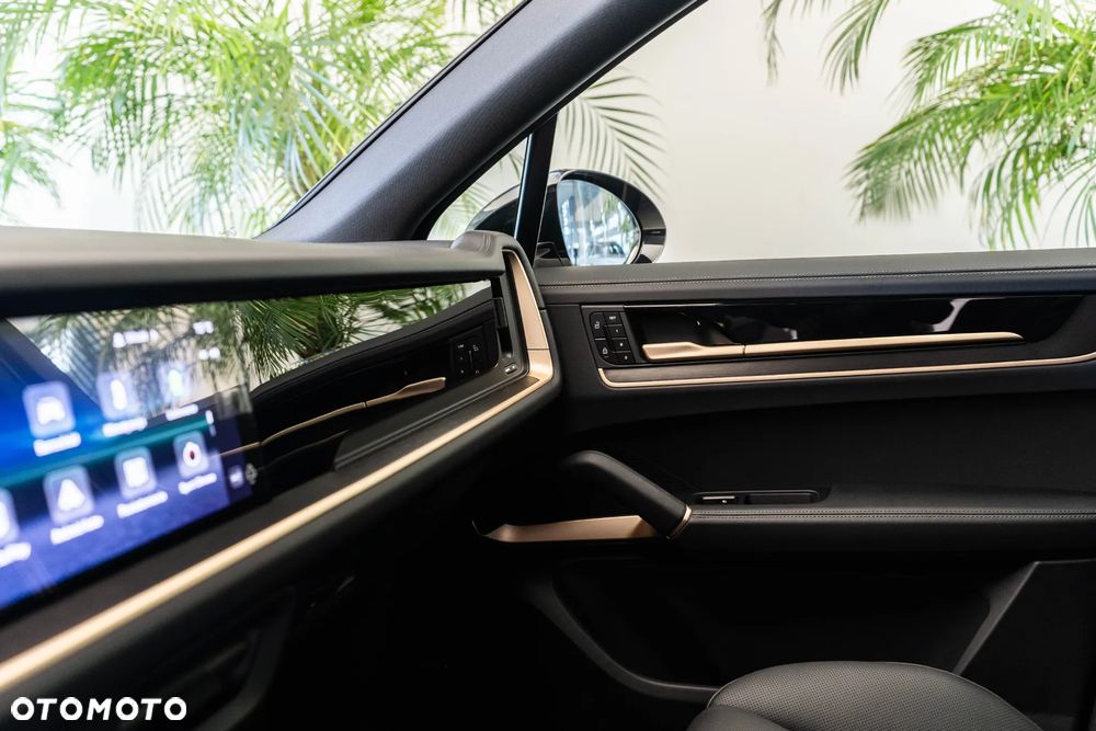 Porsche Cayenne S E-Hybrid PHEV Black Edition - 24