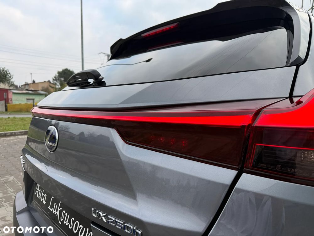 Lexus UX 250h GPF Prestige AWD - 20