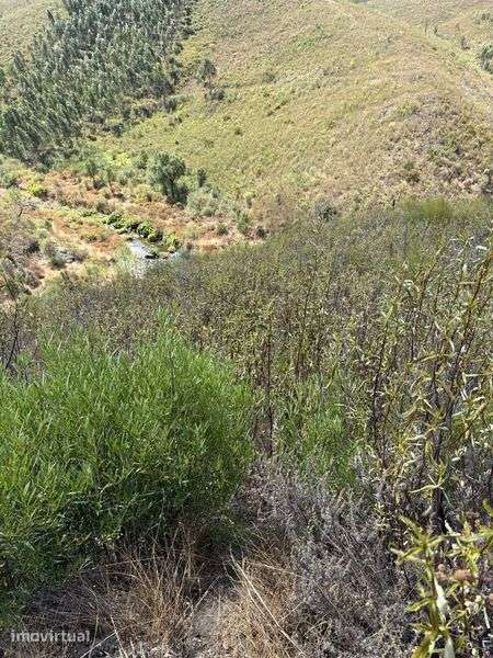 Terreno Rustico com acesso por estrada - Grande imagem: 2/2