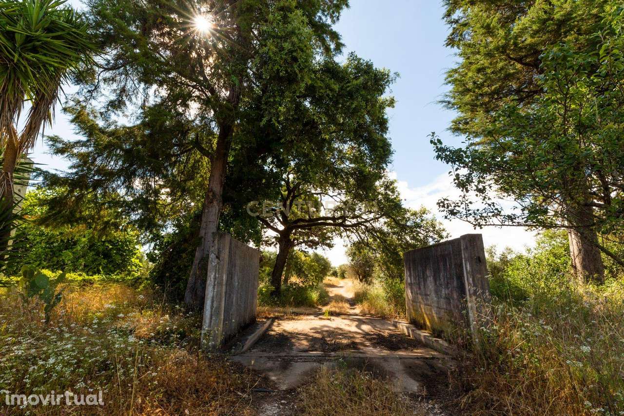 Quinta em Tomar - Grande imagem: 3/8