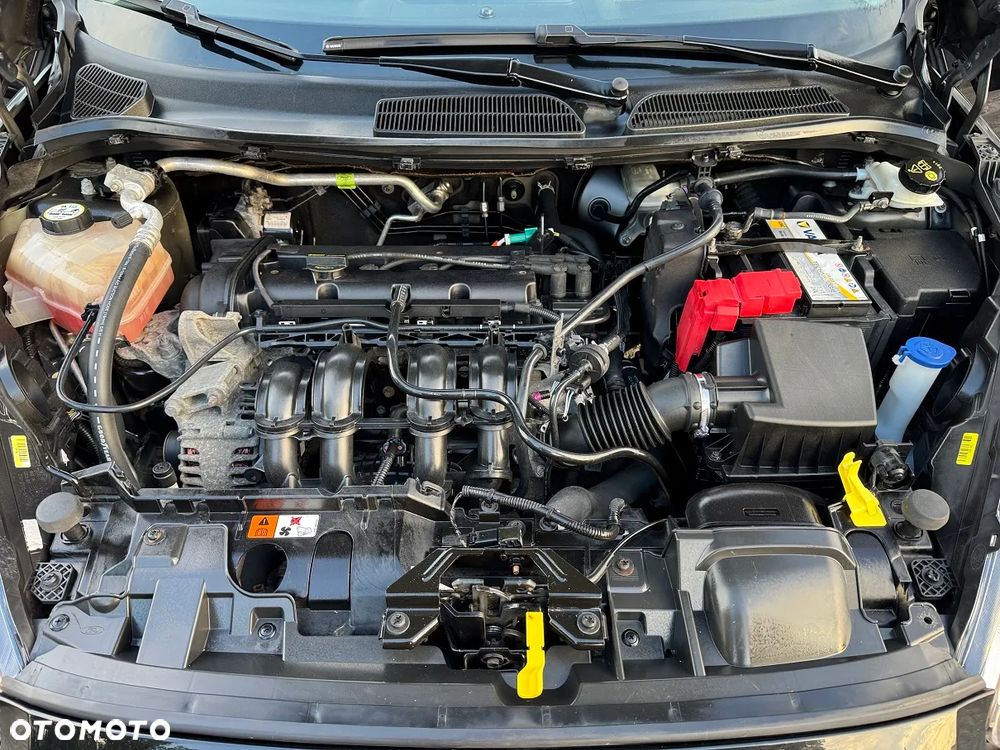 Ford Fiesta - 39
