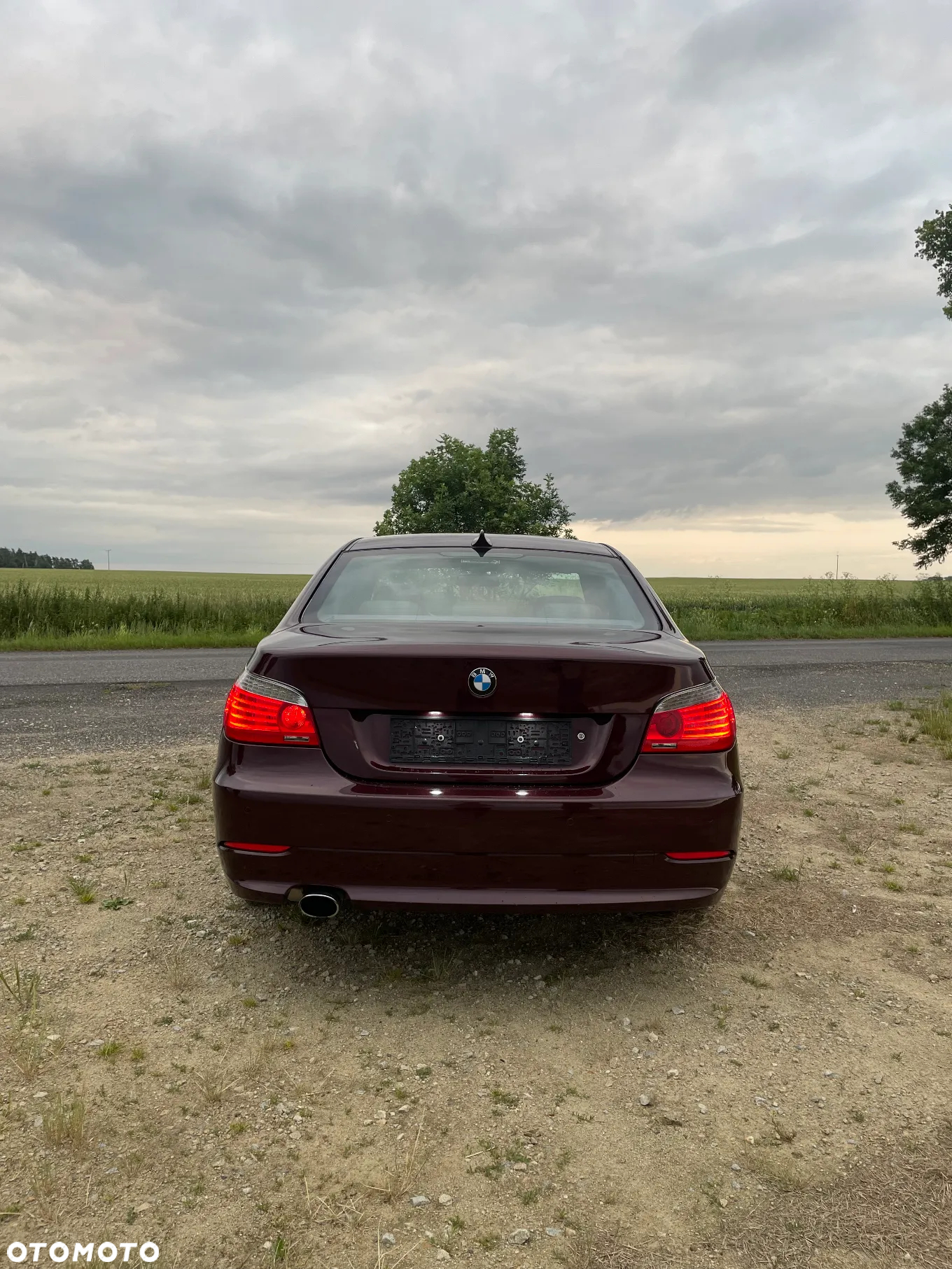 BMW Seria 5 520i - 6