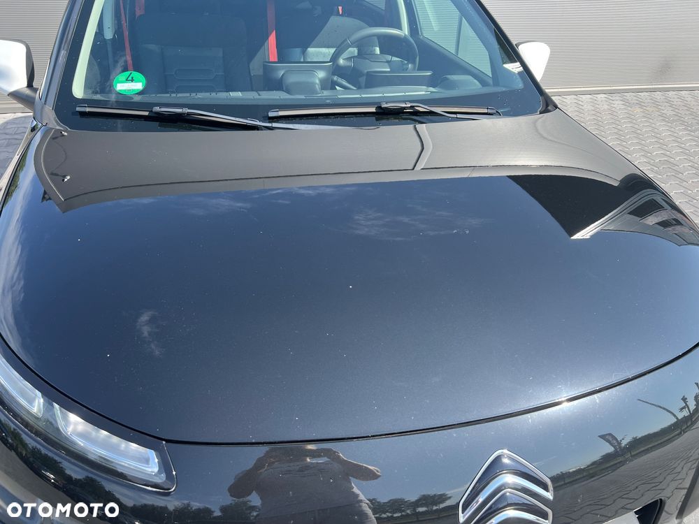 Citroën C4 Cactus Pure Tech 110 Stop&Start Rip Curl - 7