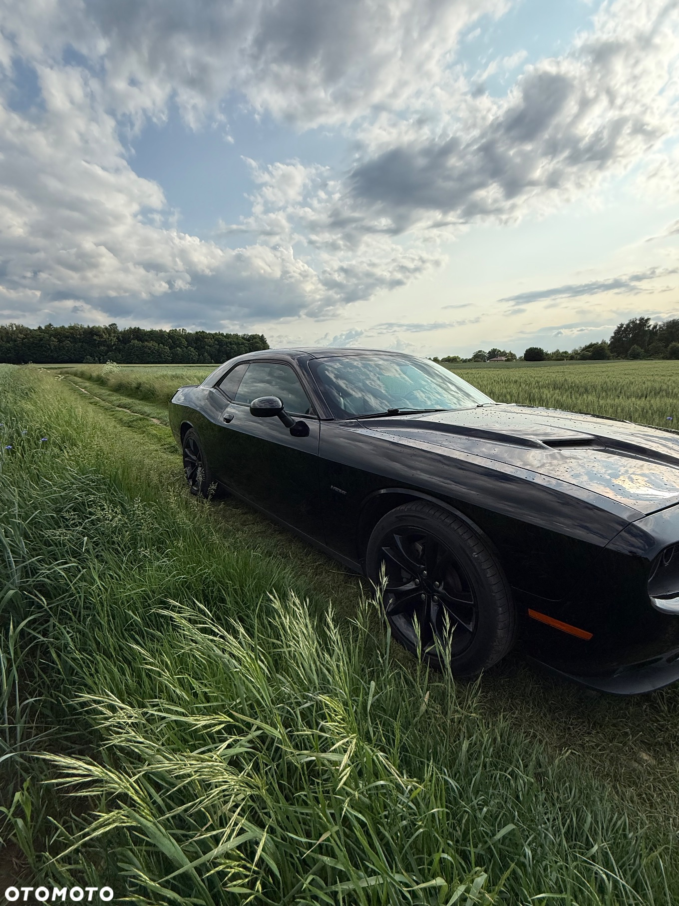Dodge Challenger Automatik R/T Plus - 5