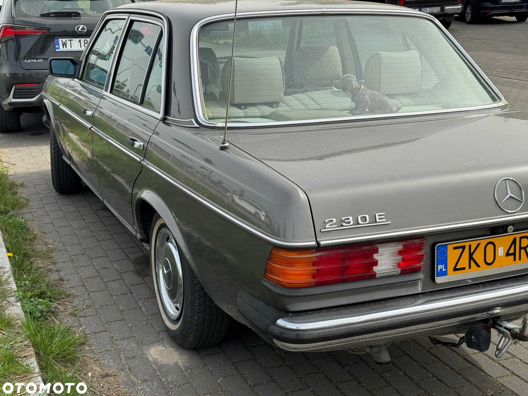 Mercedes-Benz W123 - 3