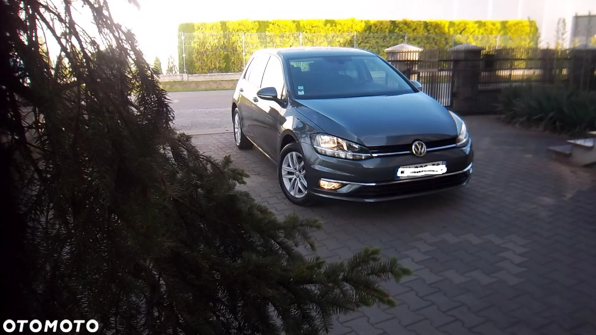 Volkswagen Golf VII 1.6 TDI BMT Comfortline - 5
