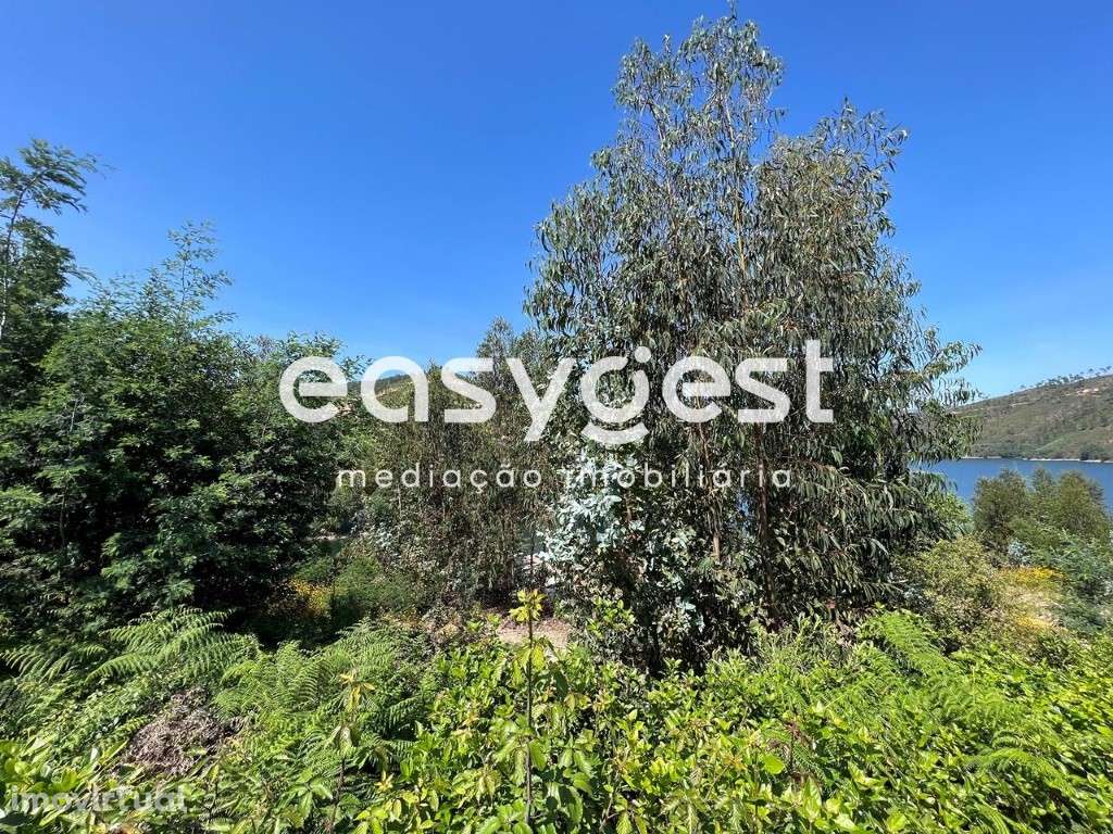 Terreno urbano com acesso à albufeira do Castelo de Bode - Grande imagem: 5/20