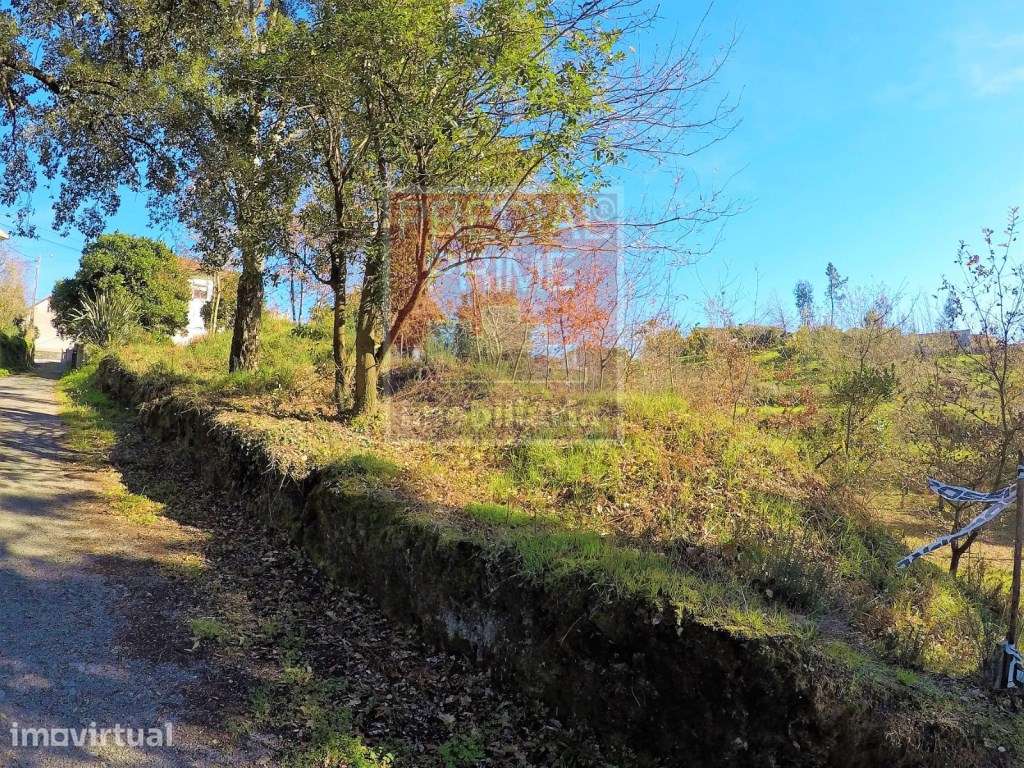 TERRENO PARA CONSTRUÇÃO COM BOA ORIENTAÇÃO SOLAR - Grande imagem: 4/4