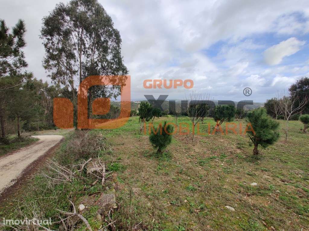 Terreno em vidais com viabilidade de construção - Grande imagem: 3/6