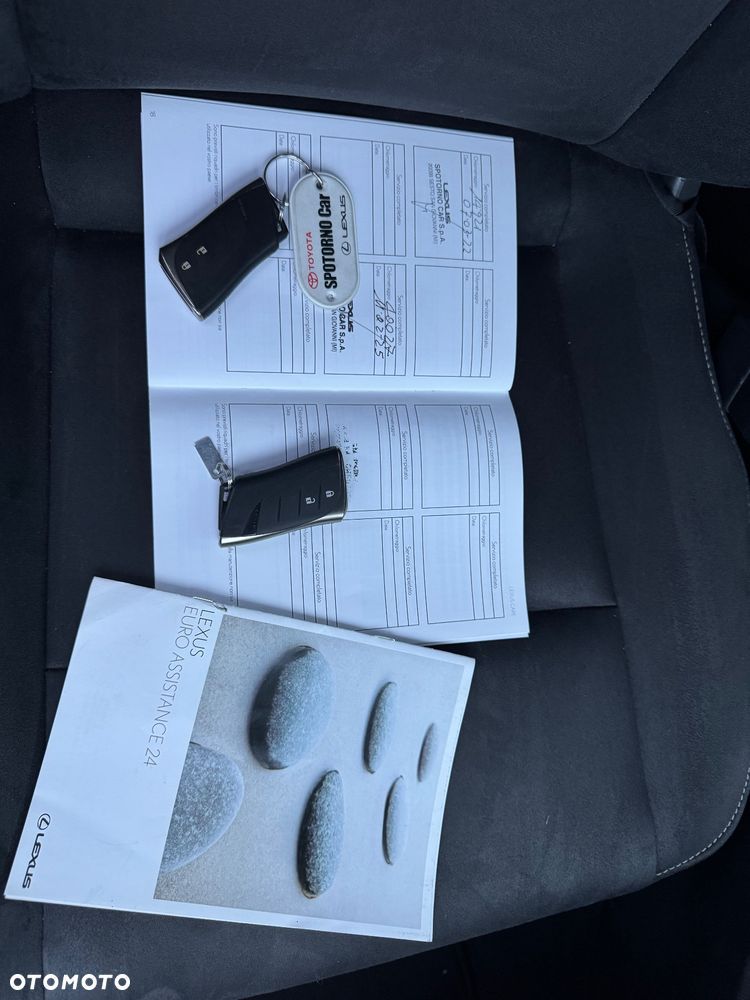 Lexus UX 250h Elegance 2WD - 20