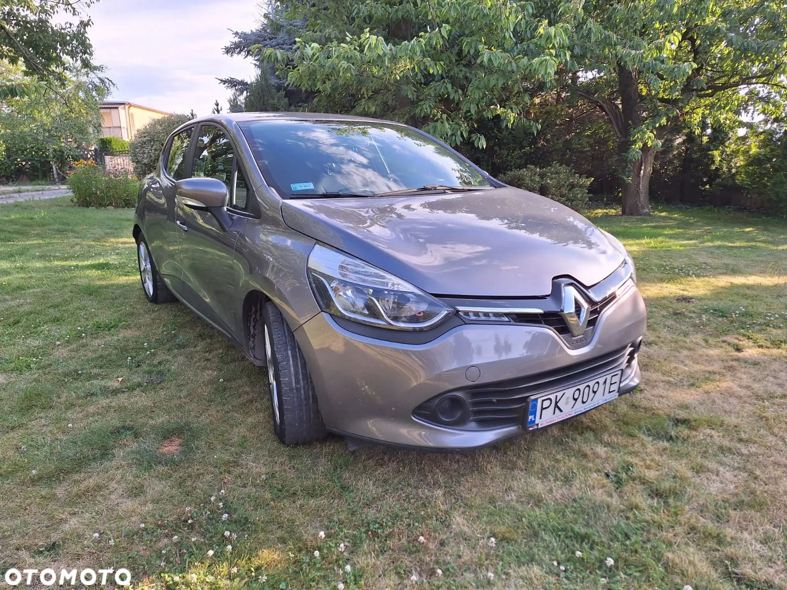 Renault Clio - 1