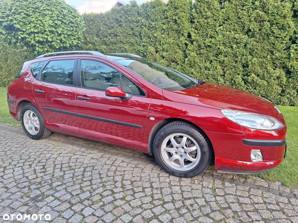 Peugeot 407 - 29