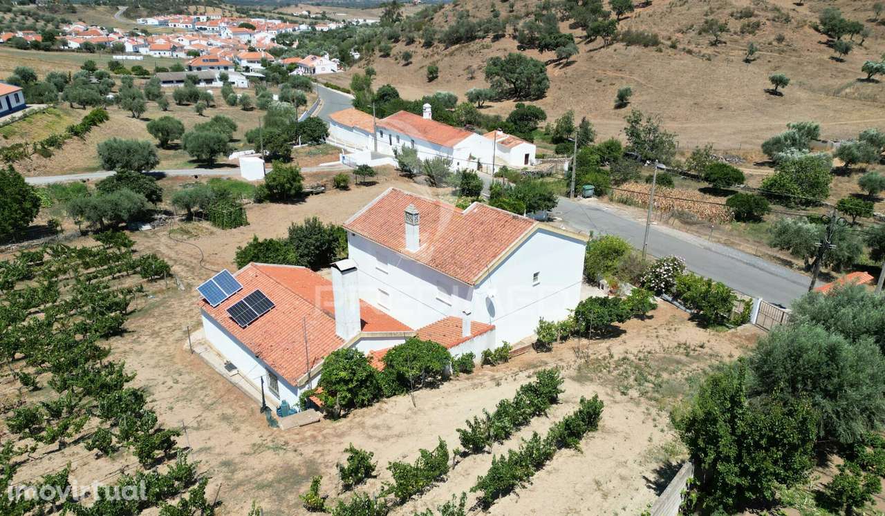 Quinta com 2,3000 hectares em Vale de Santiago - Grande imagem: 5/31