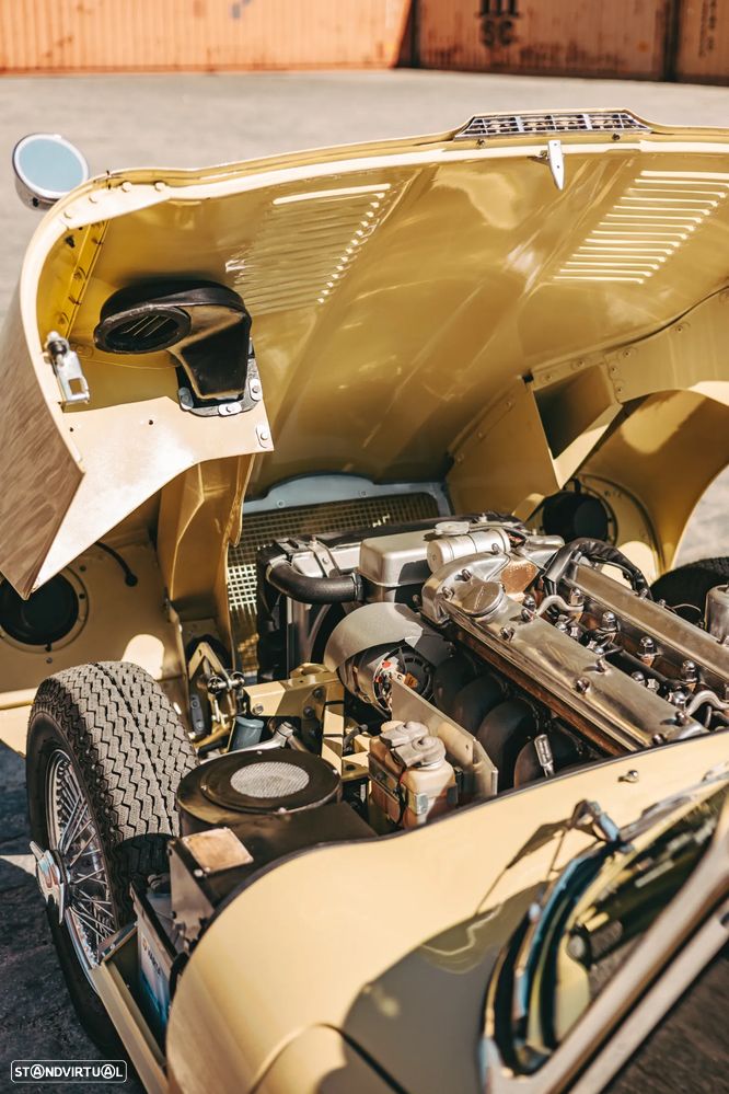 Jaguar E-Type - 16