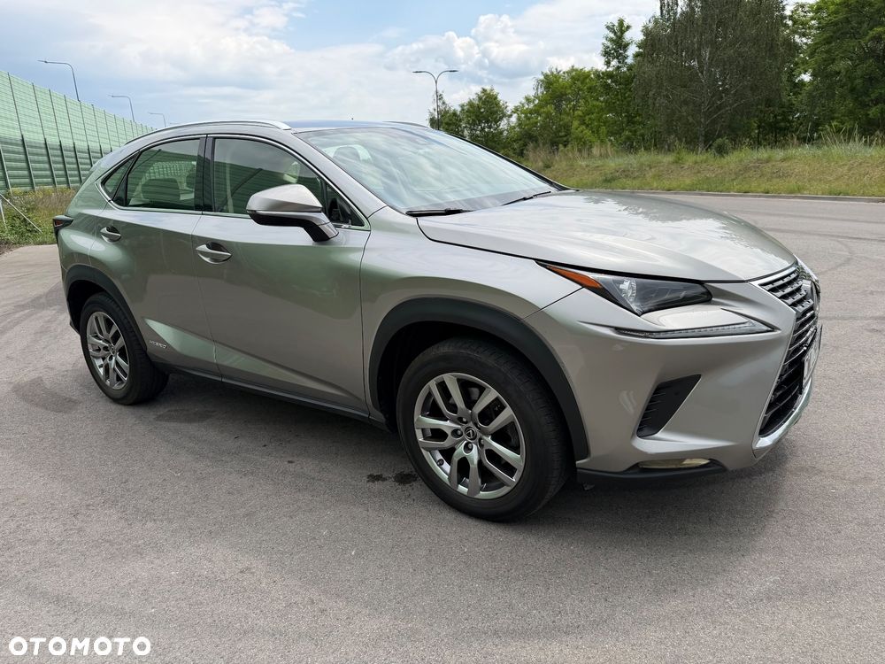 Lexus NX - 18