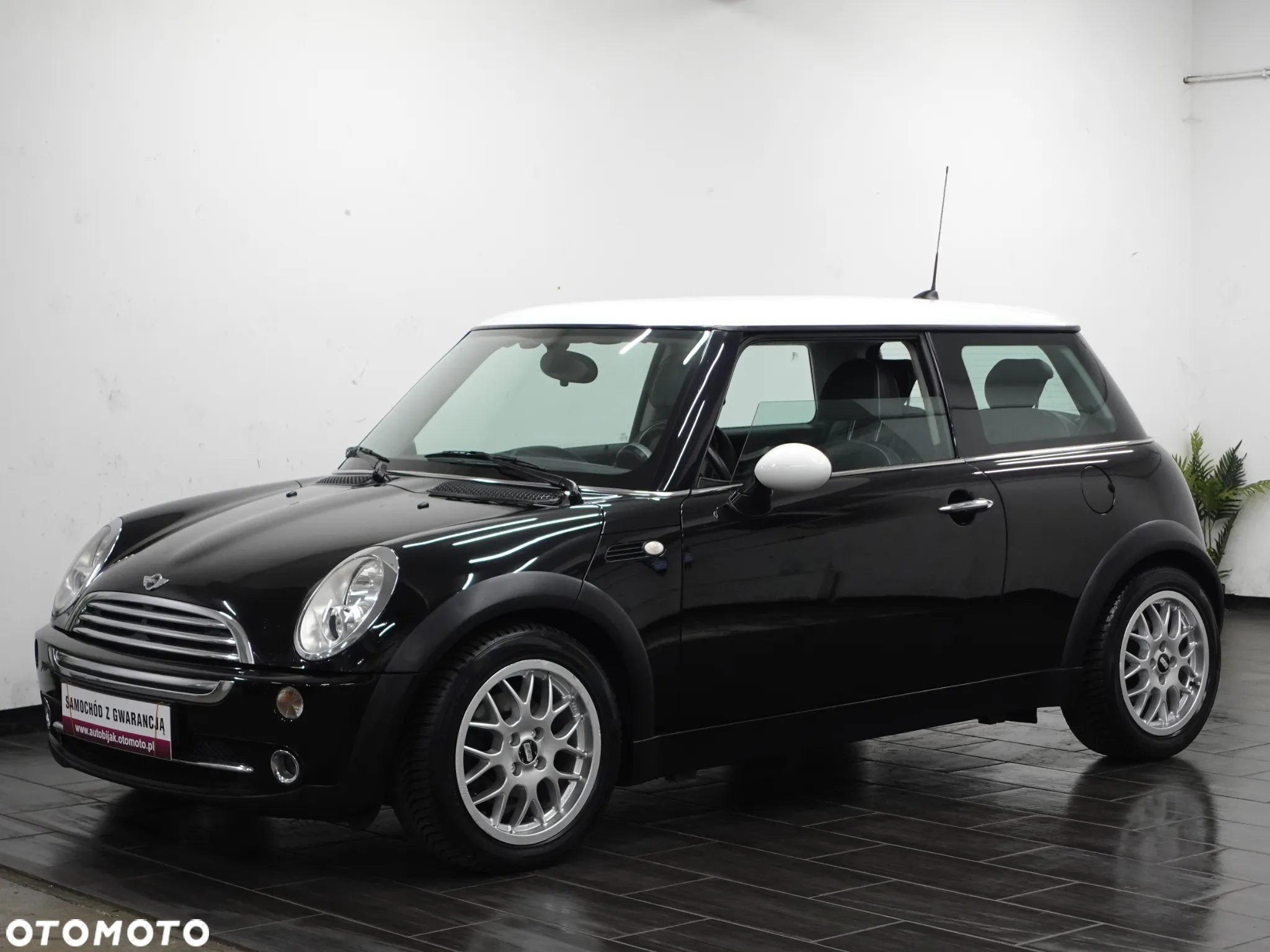 MINI Cooper pepper - 4