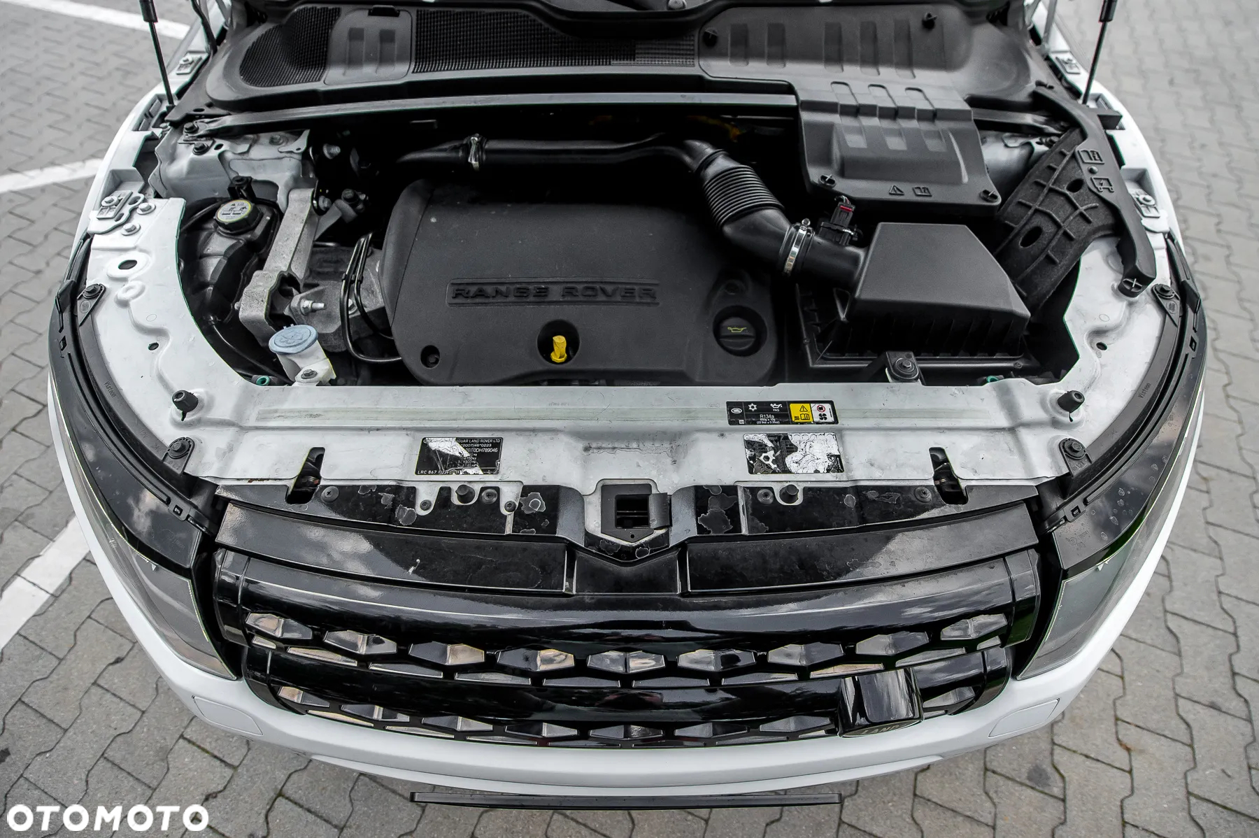 Land Rover Range Rover Evoque SD4 Pure - 37
