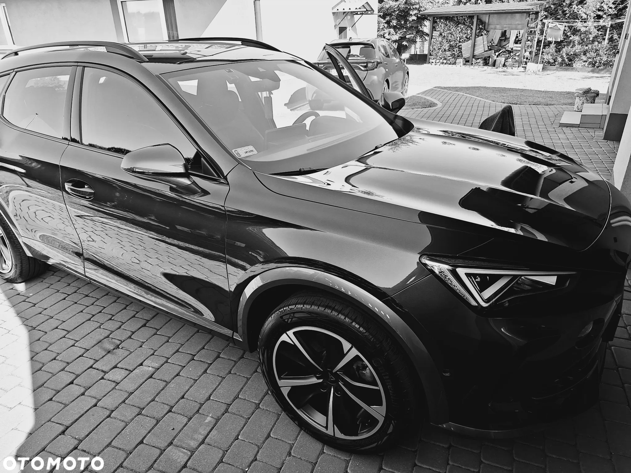 Cupra Formentor 2.0 TSI 4Drive DSG - 10
