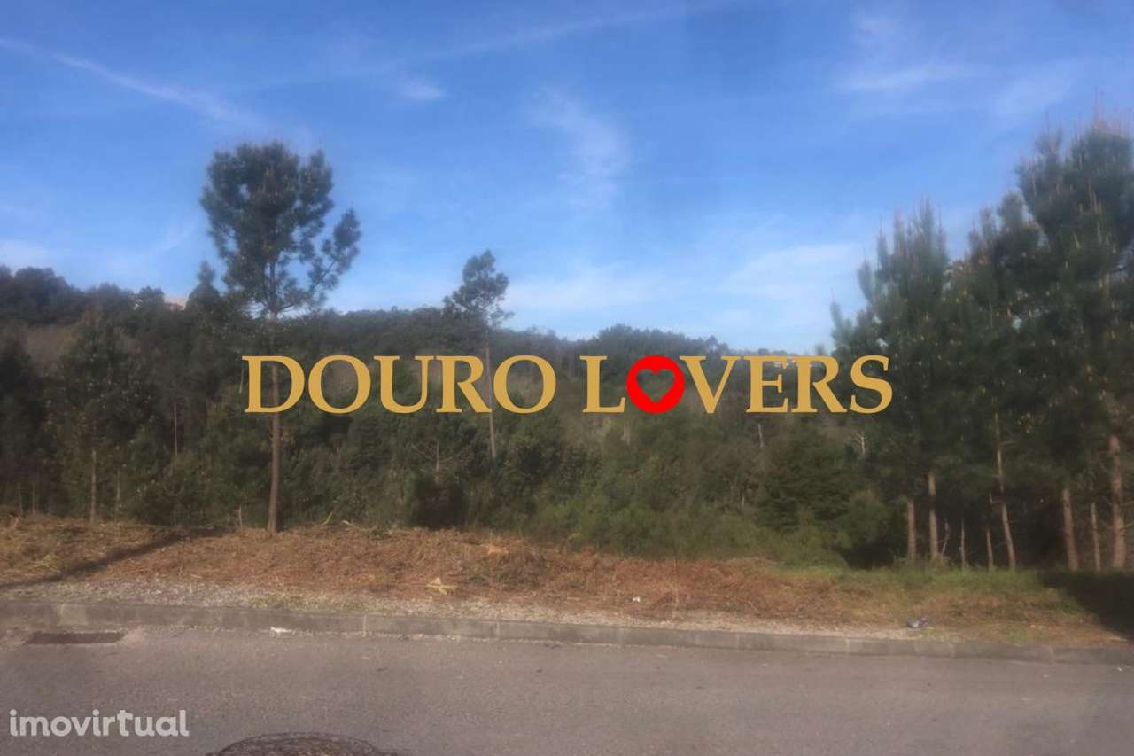 Terreno em Crestuma, Vila Nova de Gaia, a 200 mts do rio Douro - Grande imagem: 5/6
