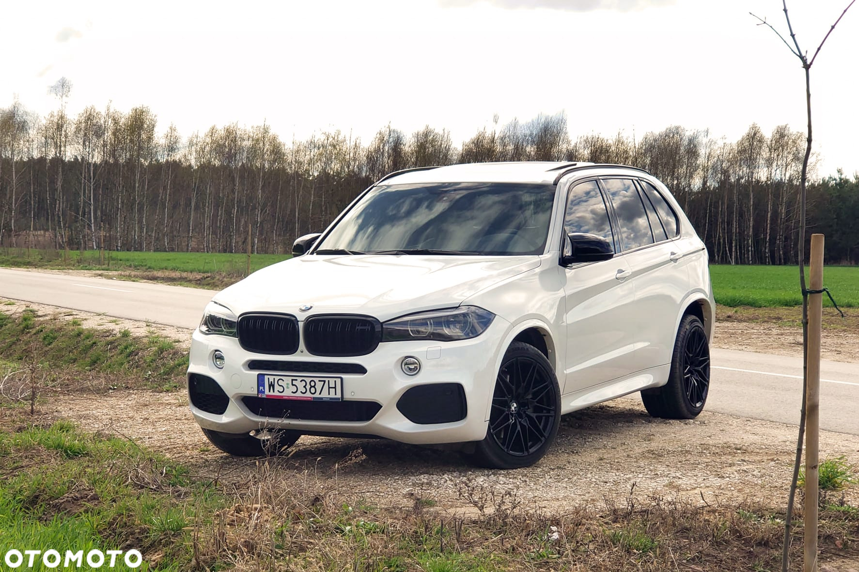 BMW X5 xDrive50i - 5