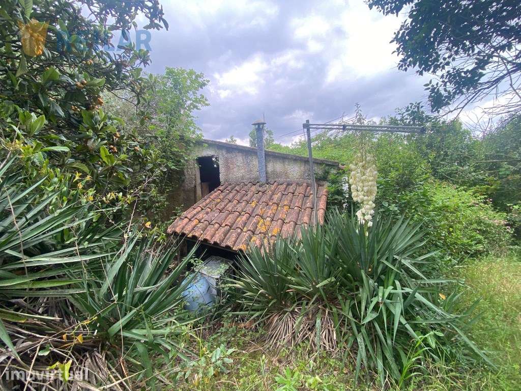 Alenquer - Terreno 1.500 m2 - Grande imagem: 4/14