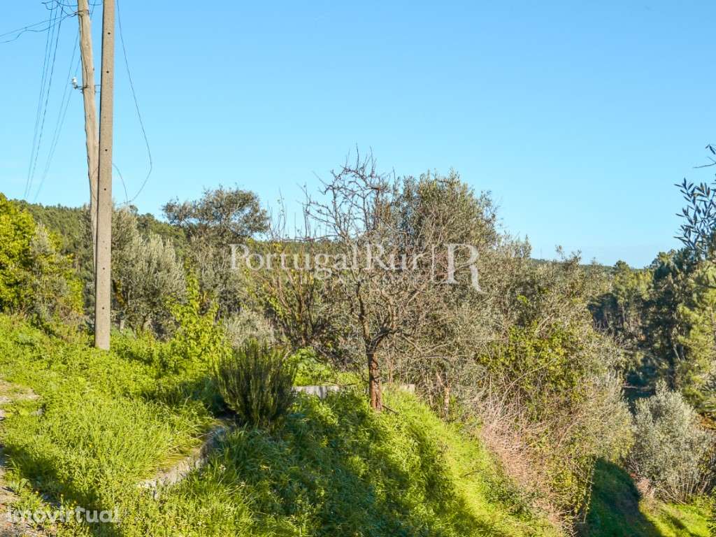 Lote de terreno com 1.600 m², para construção de moradia - Grande imagem: 3/19