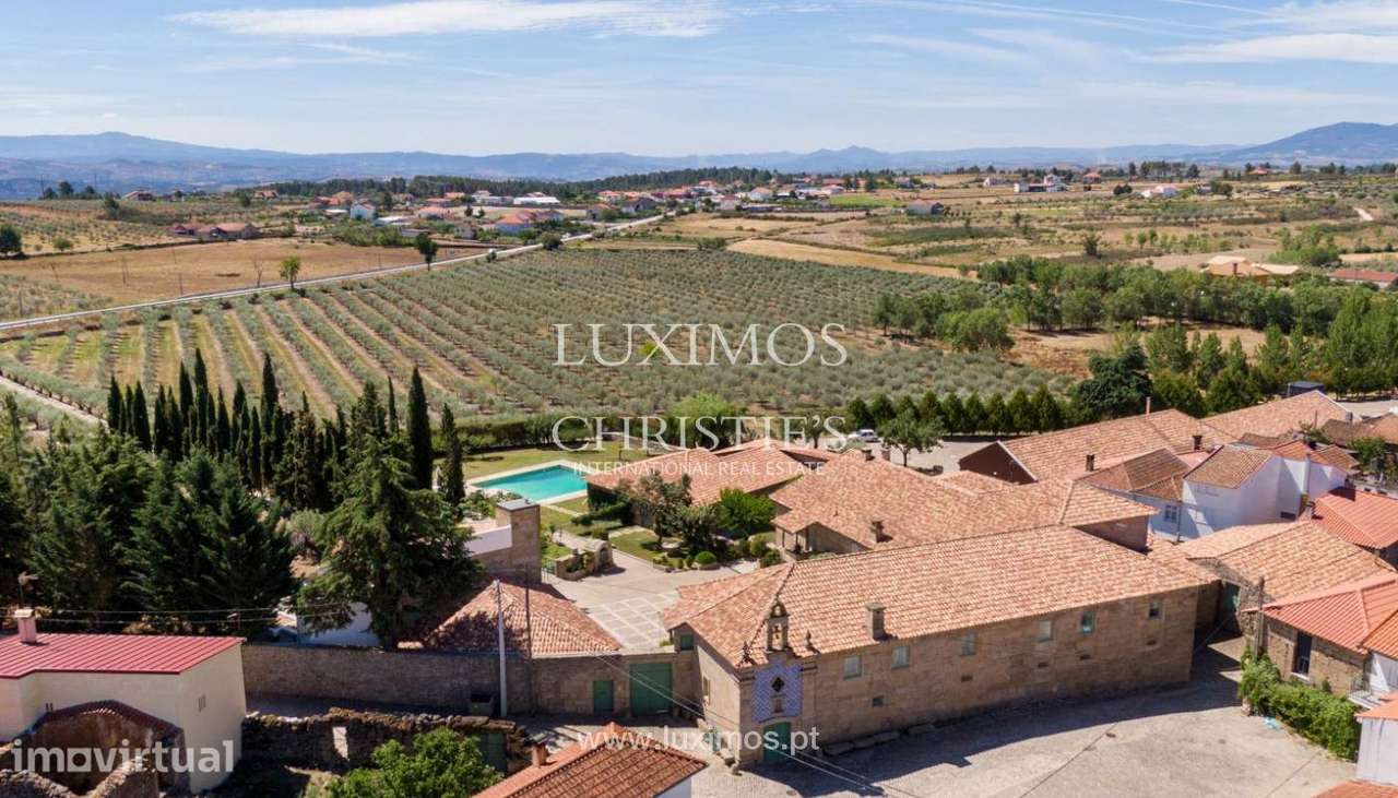 Venda: Propriedade secular com olival, capela, jardim e piscina, Miran - Grande imagem: 2/25