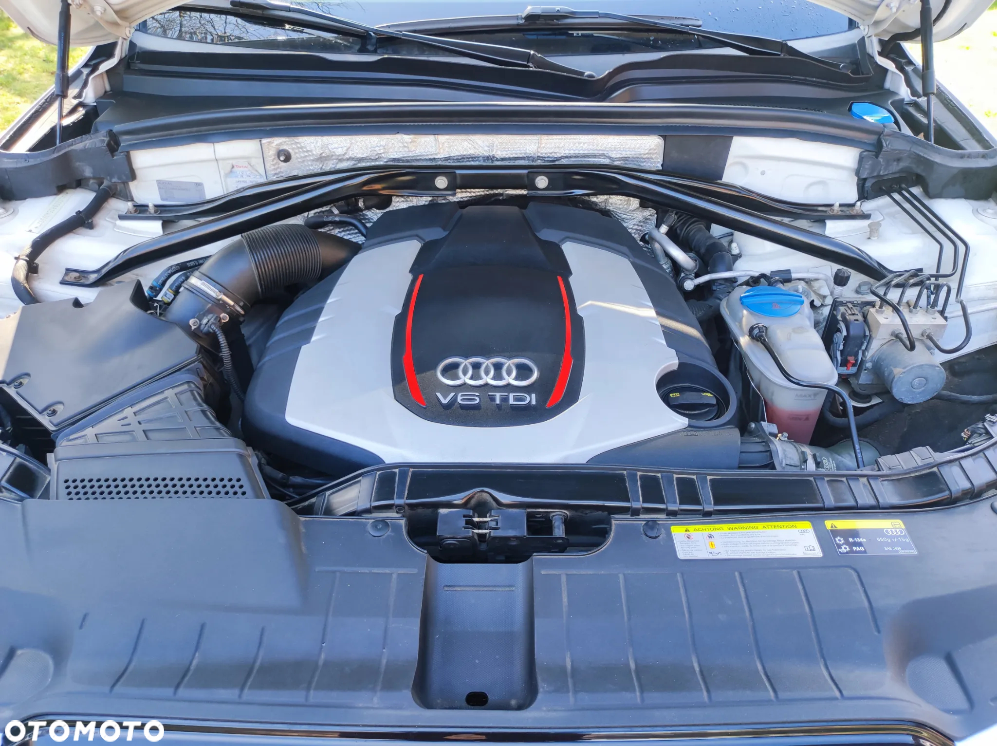 Audi SQ5 3.0 TDI Quattro Tiptronic EU6 - 38