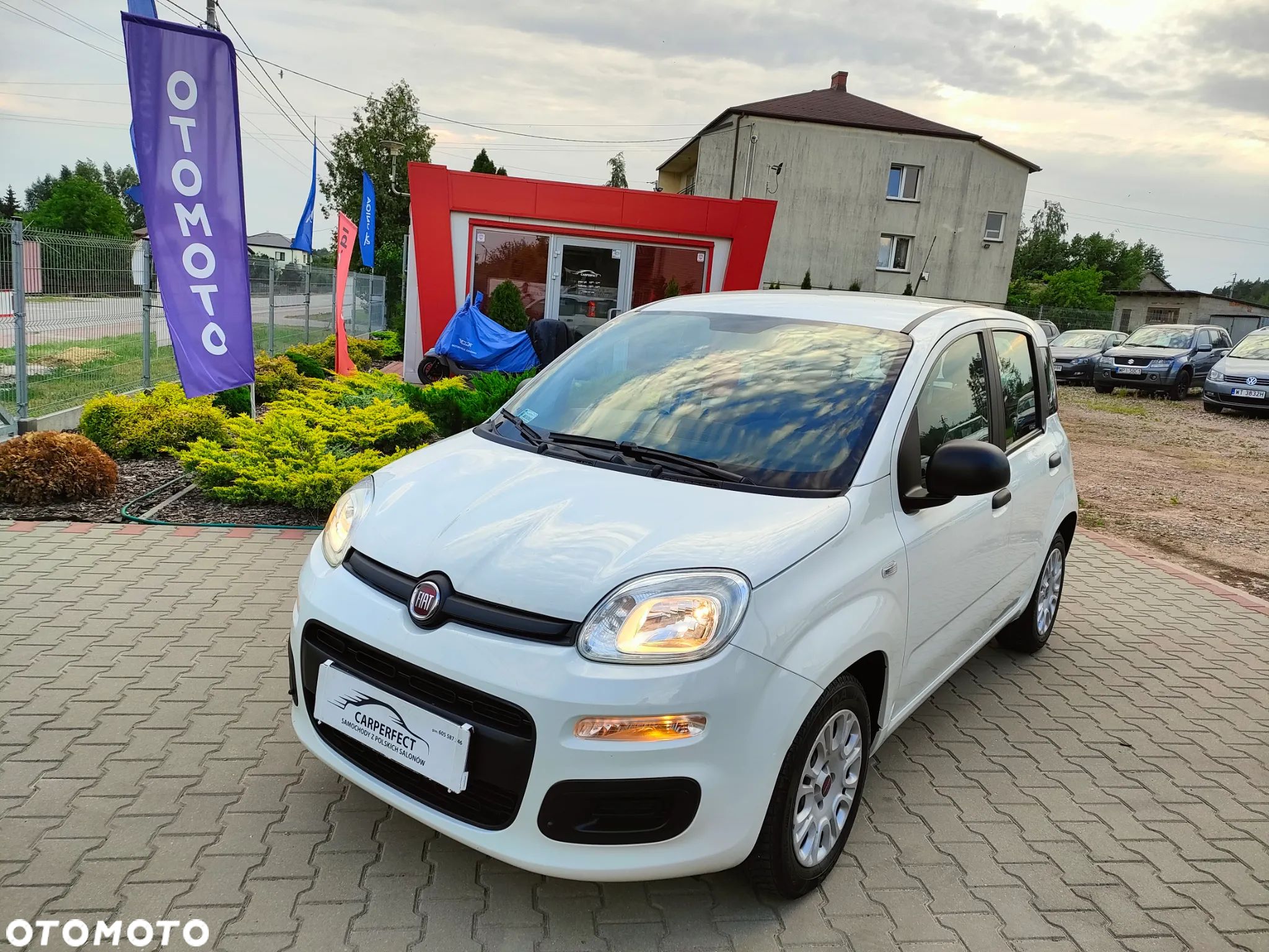 Fiat Panda 1.2 Easy - 1
