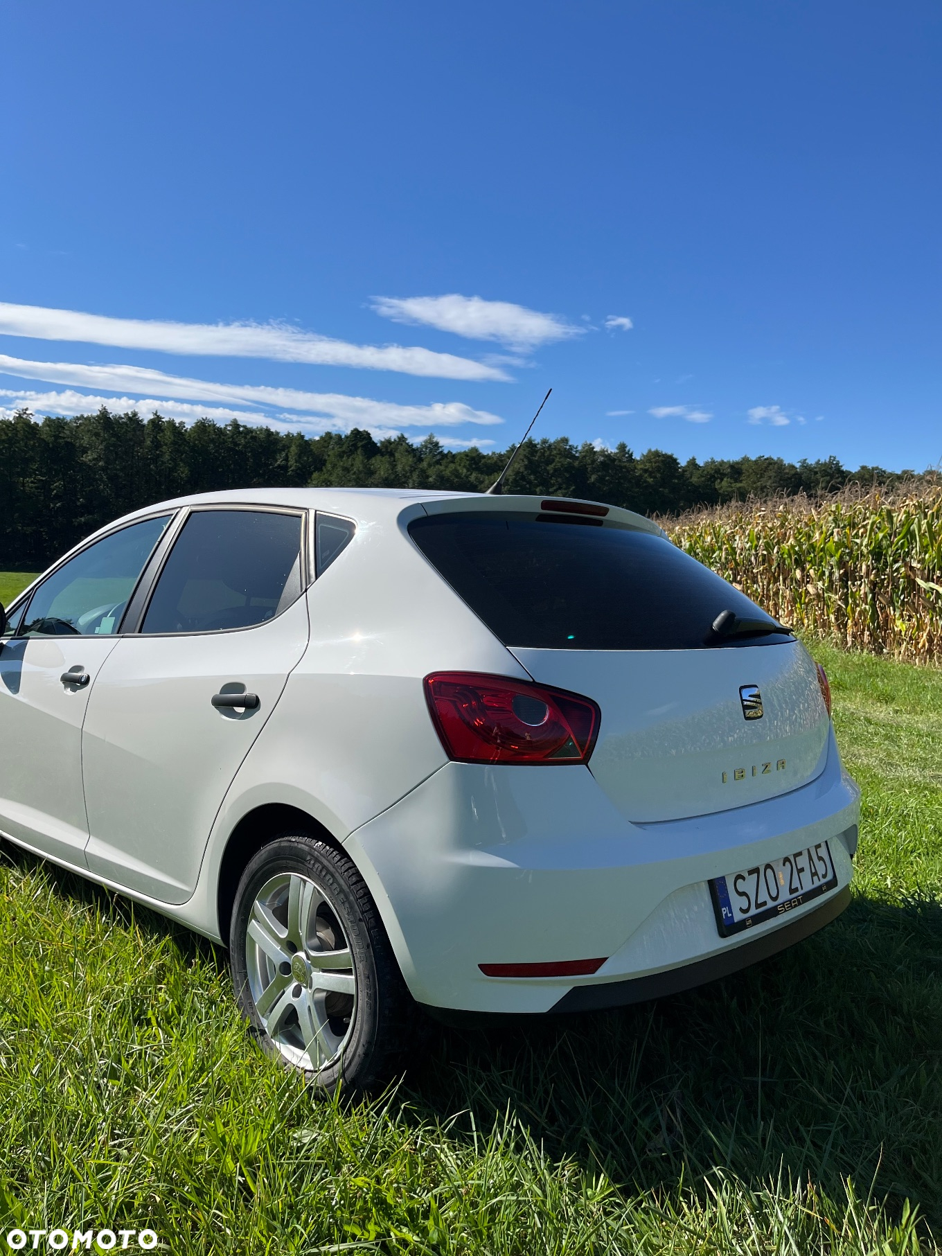 Seat Ibiza 1.0 Reference - 4