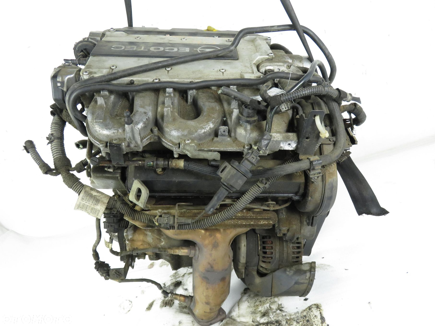 SILNIK OPEL VECTRA C SIGNUM 3.2 V6 Z32SE - 5