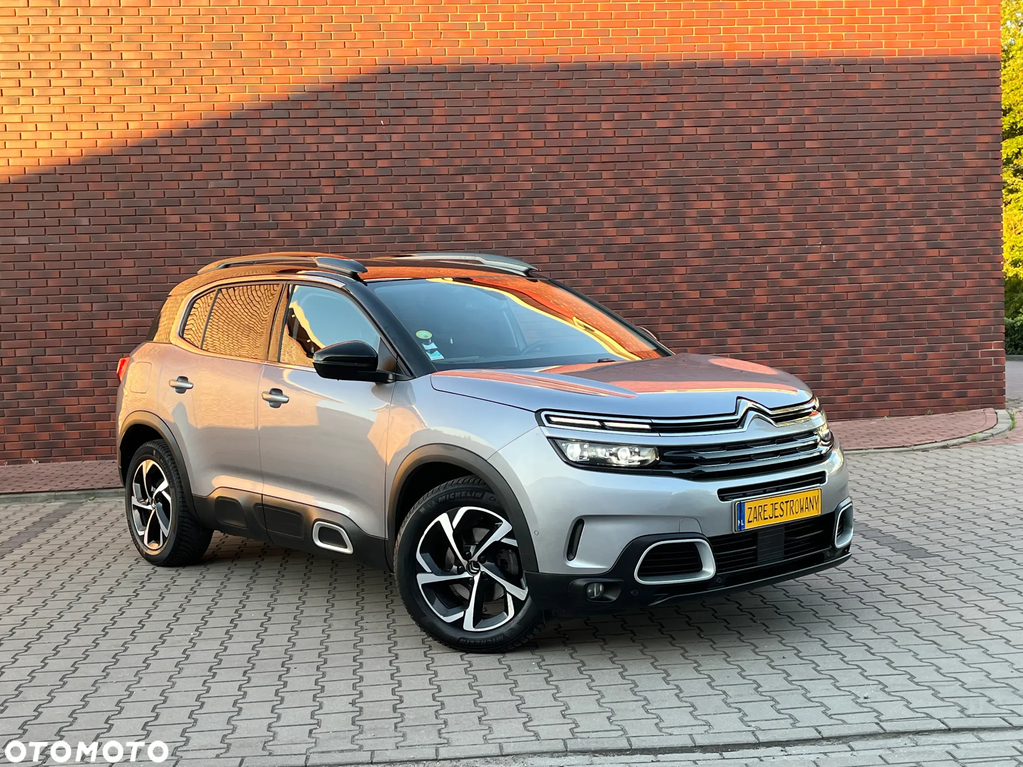 Citroën C5 Aircross 2.0 BlueHDi Shine EAT8 - 19
