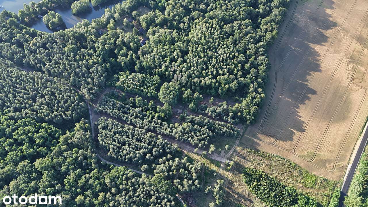 Działki w lesie 50 minut od Wrocławia – od 39 577,03 zł brutto! - Pełny obrazek: 2/8