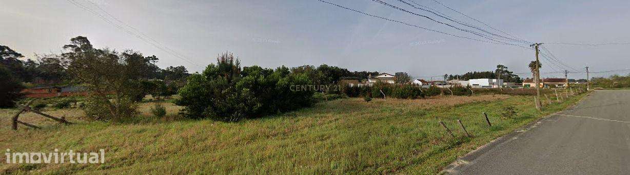Terreno à Venda em Vagos, Aveiro - Oportunidade Única! - Grande imagem: 3/4