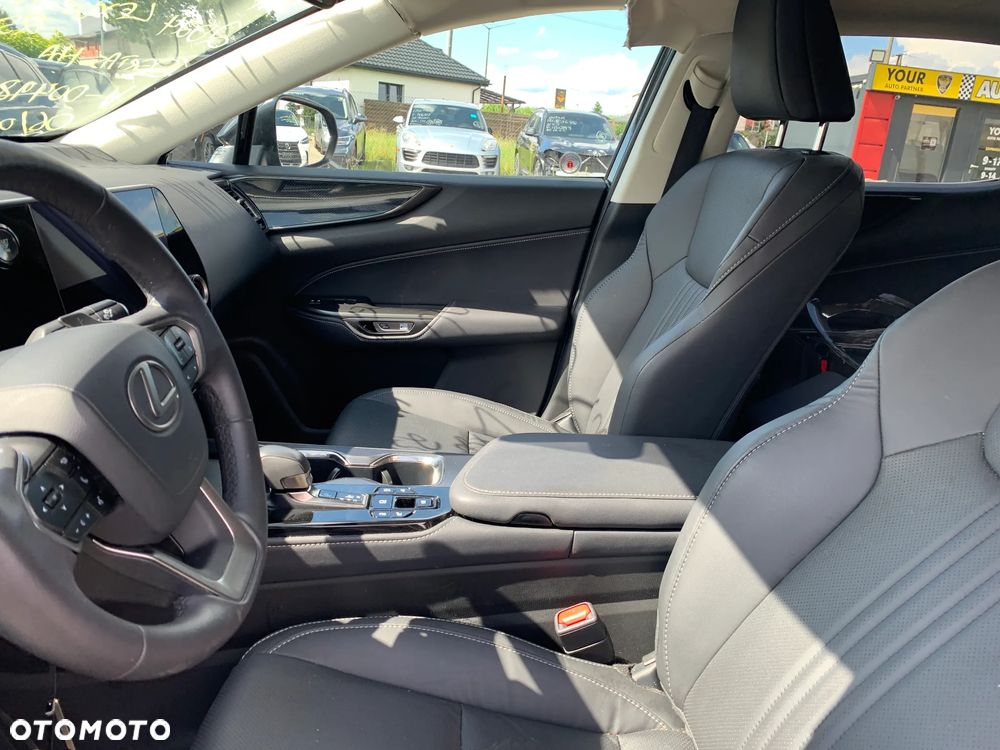 Lexus NX - 13