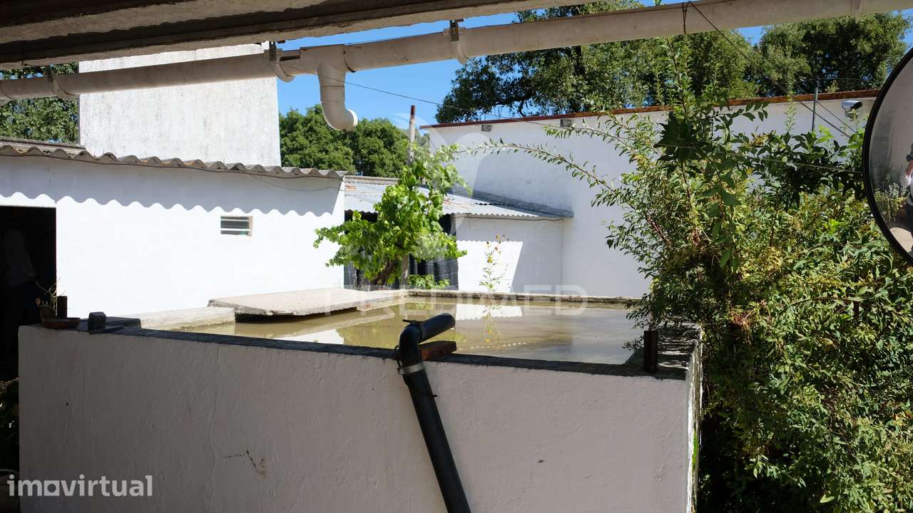 Moradia isolada, Tramaga, Ponte de Sor - Grande imagem: 5/29