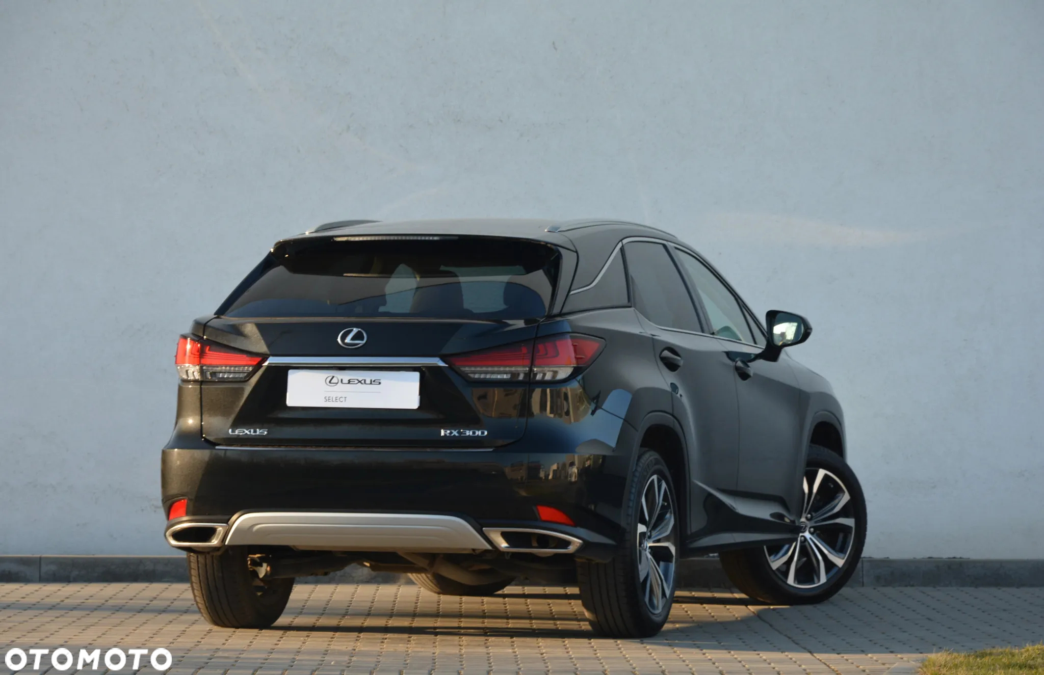 Lexus RX 300 Business Edition + - 5