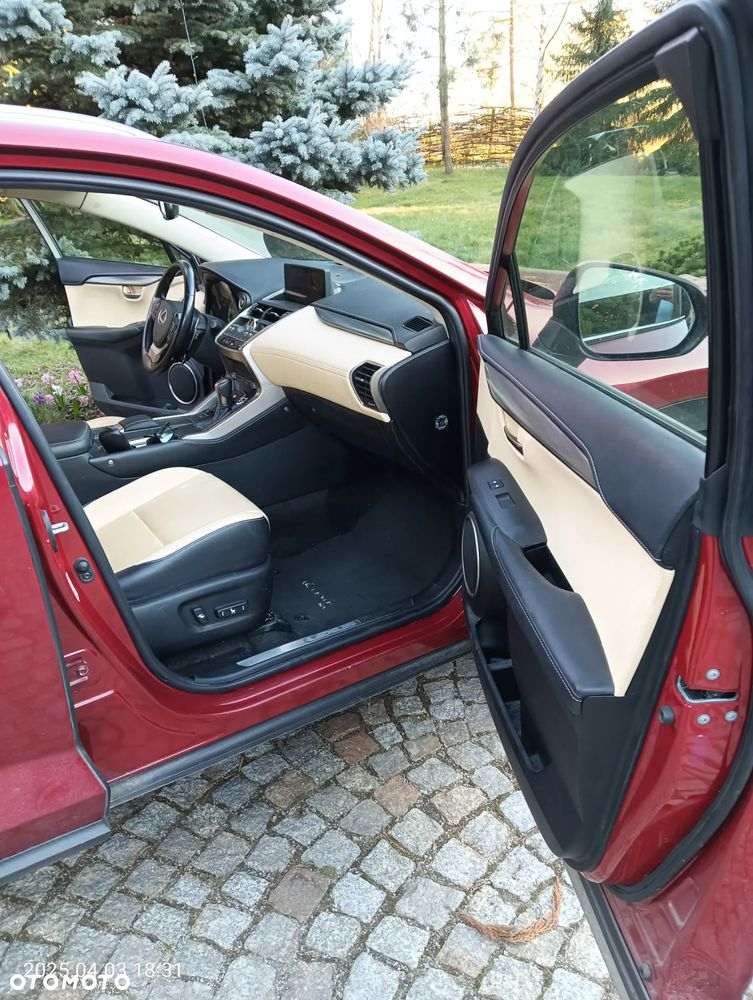 Lexus NX ver-300h-business-edition-awd - 22