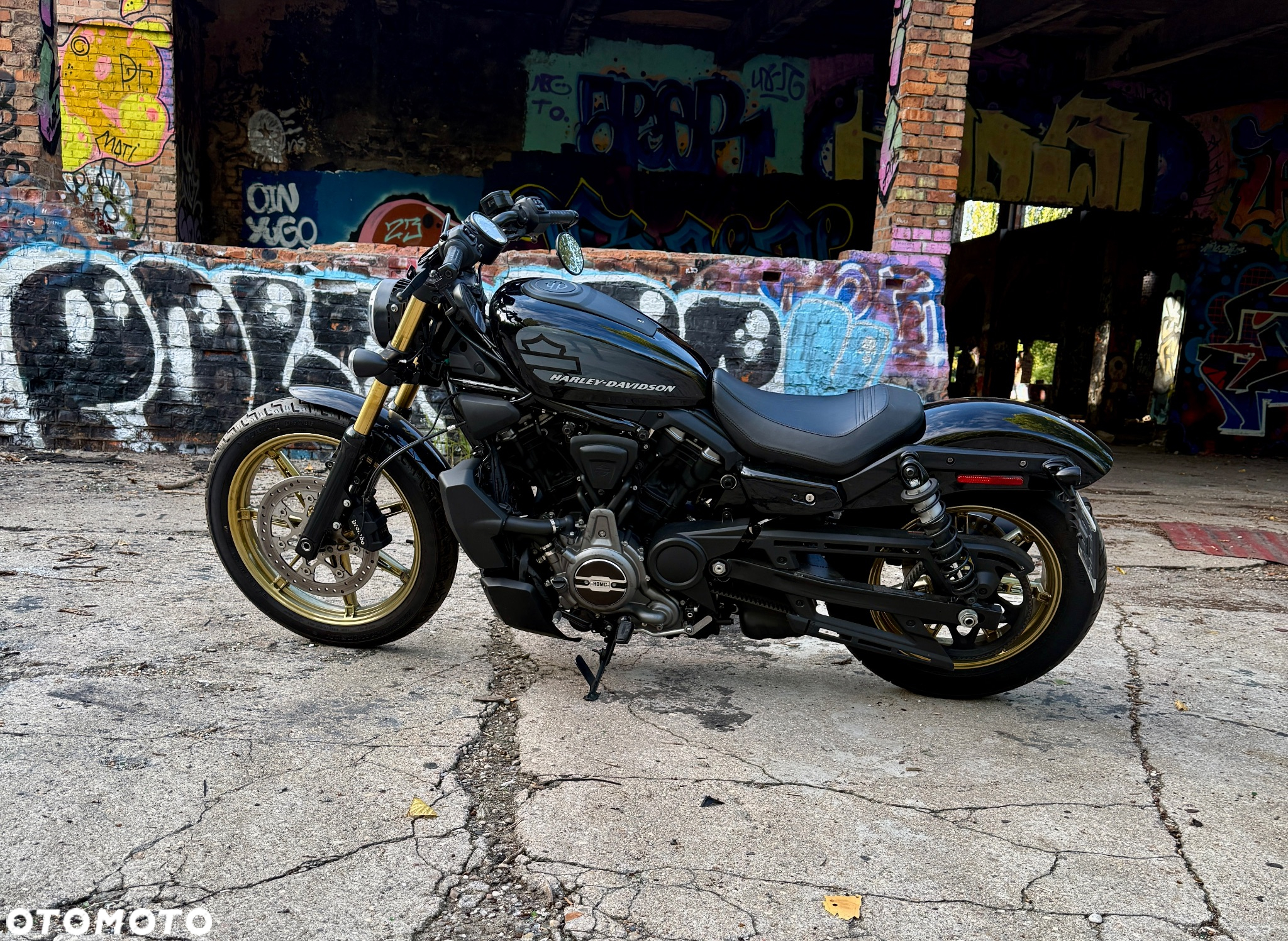 Harley-Davidson Sportster Nightster 975 - 8