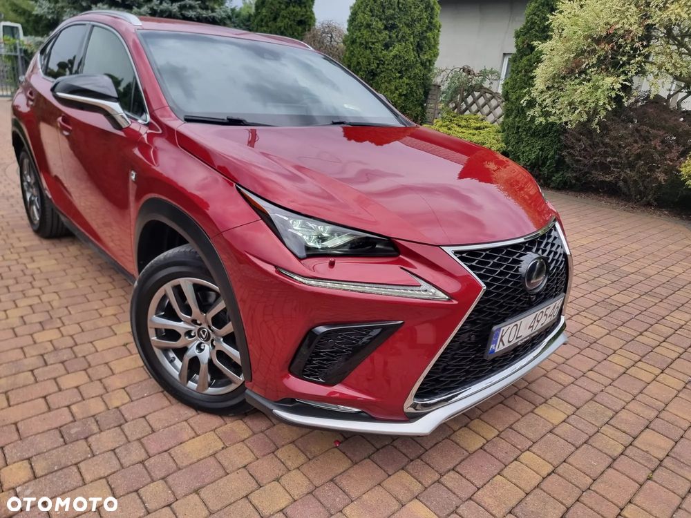Lexus NX 300h F Sport Edition AWD - 28